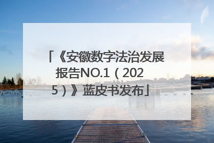 《安徽数字法治发展报告NO.1（2025）》蓝皮书发布