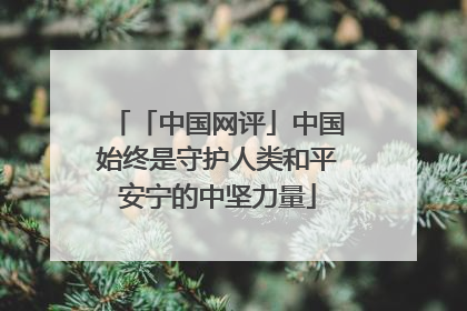 「中国网评」中国始终是守护人类和平安宁的中坚力量