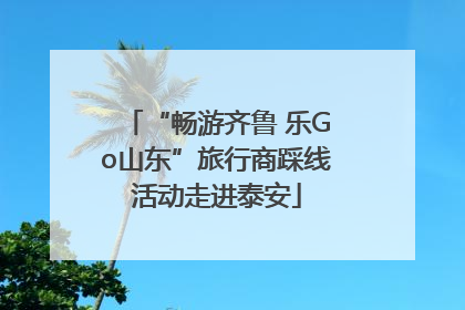 “畅游齐鲁 乐Go山东”旅行商踩线活动走进泰安