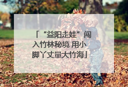 “益阳走娃”闯入竹林秘境 用小脚丫丈量大竹海