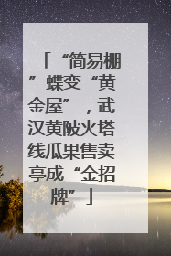 “简易棚”蝶变“黄金屋”，武汉黄陂火塔线瓜果售卖亭成“金招牌”