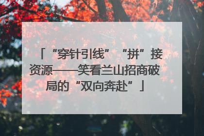 “穿针引线”“拼”接资源——笑看兰山招商破局的“双向奔赴”
