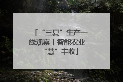 “三夏”生产一线观察丨智能农业“慧”丰收