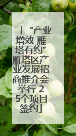 “产业增效 雁塔有约”雁塔区产业发展招商推介会举行 25个项目签约