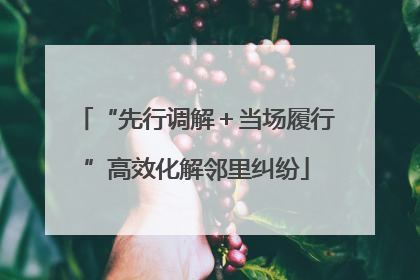 “先行调解＋当场履行”高效化解邻里纠纷