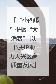 “小西瓜”提振“大消费” 以节庆IP助力大兴区高质量发展