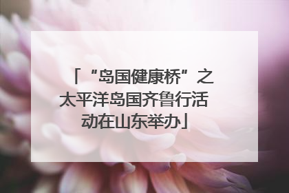 “岛国健康桥”之太平洋岛国齐鲁行活动在山东举办