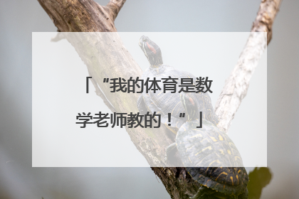 “我的体育是数学老师教的！”