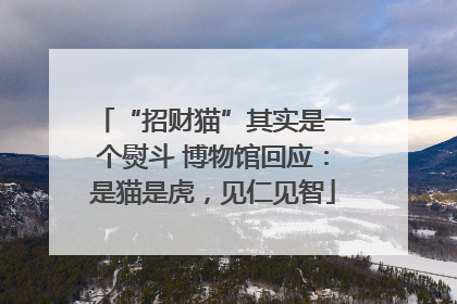 “招财猫”其实是一个熨斗 博物馆回应：是猫是虎，见仁见智