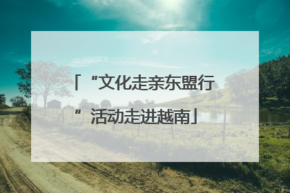 “文化走亲东盟行”活动走进越南