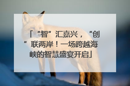 “智”汇嘉兴，“创”联两岸！一场跨越海峡的智慧盛宴开启
