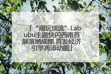 “潮玩顶流”Labubu主题快闪西南首展落地成都 首发经济引擎再添动能