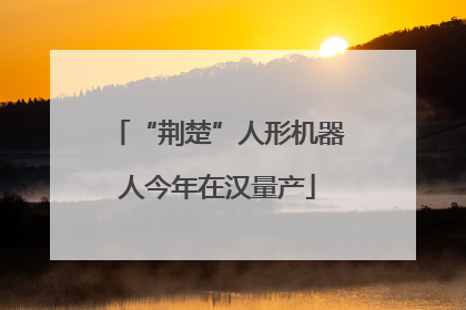 “荆楚”人形机器人今年在汉量产