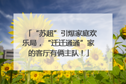 “苏超”引爆家庭欢乐局，“迁迁通通”家的客厅有俩主队！