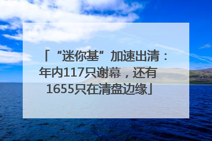 “迷你基”加速出清：年内117只谢幕，还有1655只在清盘边缘