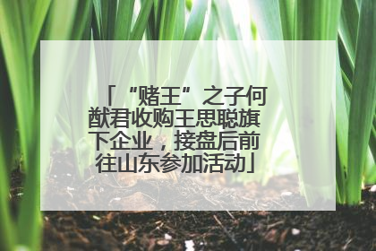 “赌王”之子何猷君收购王思聪旗下企业，接盘后前往山东参加活动