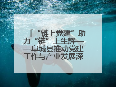 “链上党建”助力“链”上生辉——阜城县推动党建工作与产业发展深度融合