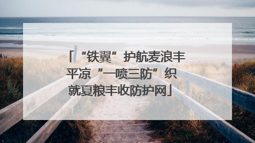 “铁翼”护航麦浪丰 平凉“一喷三防”织就夏粮丰收防护网