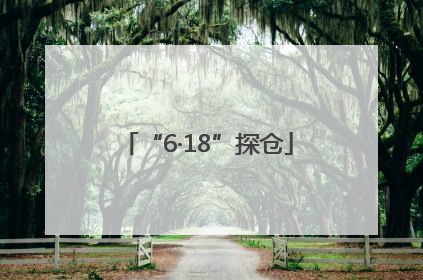 “6·18”探仓