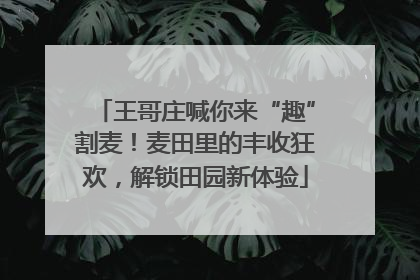 王哥庄喊你来“趣”割麦！麦田里的丰收狂欢，解锁田园新体验