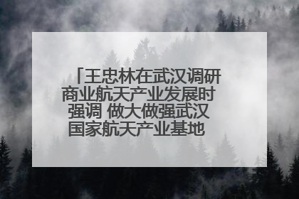王忠林在武汉调研商业航天产业发展时强调 做大做强武汉国家航天产业基地 打造具有全国影响力的“中国星谷”