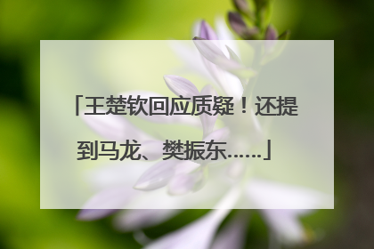 王楚钦回应质疑！还提到马龙、樊振东……