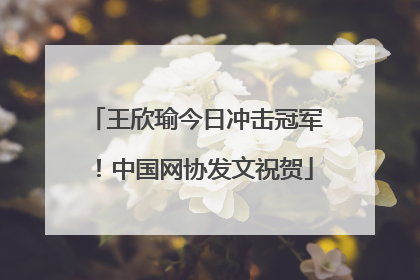 王欣瑜今日冲击冠军！中国网协发文祝贺