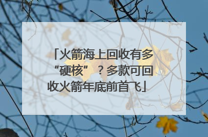 火箭海上回收有多“硬核”？多款可回收火箭年底前首飞