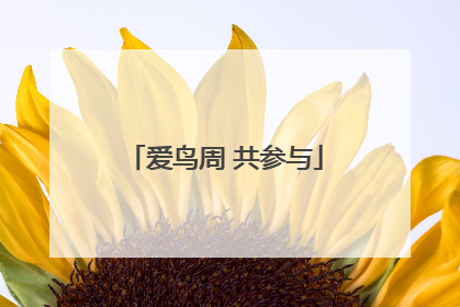爱鸟周 共参与