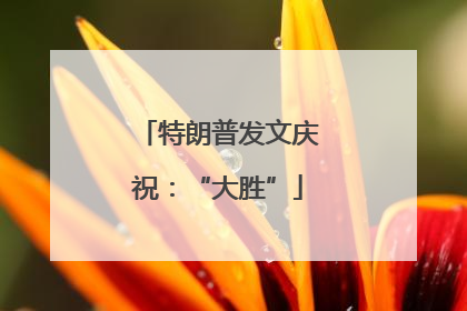 特朗普发文庆祝：“大胜”