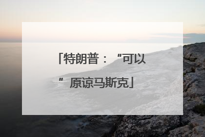特朗普：“可以”原谅马斯克