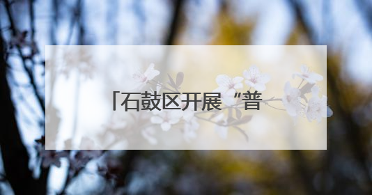 石鼓区开展“普惠托育、科学育儿”宣传活动
