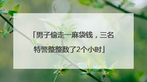 男子偷走一麻袋钱，三名特警整整数了2个小时