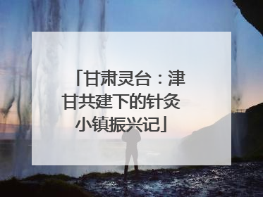 甘肃灵台：津甘共建下的针灸小镇振兴记