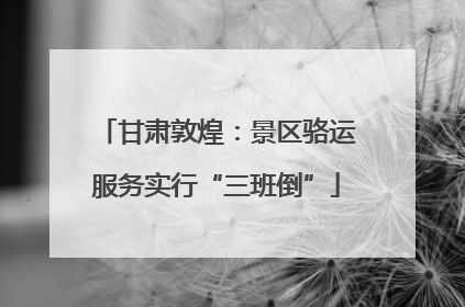 甘肃敦煌：景区骆运服务实行“三班倒”
