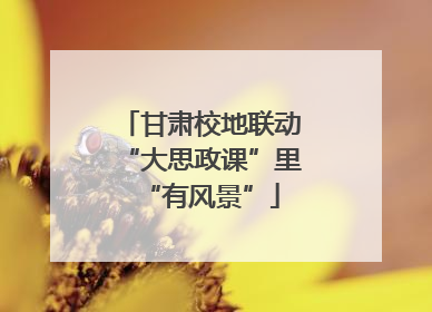甘肃校地联动“大思政课”里“有风景”