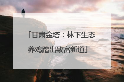 甘肃金塔：林下生态养鸡踏出致富新道