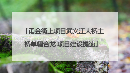 甬金衢上项目武义江大桥主桥单幅合龙 项目建设提速