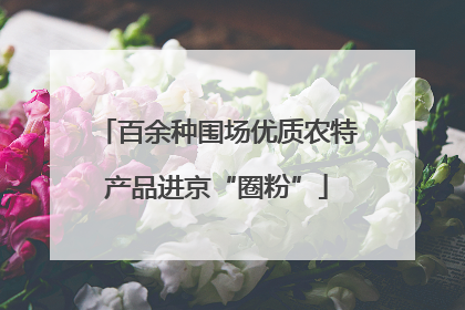 百余种围场优质农特产品进京“圈粉”