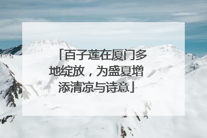 百子莲在厦门多地绽放，为盛夏增添清凉与诗意