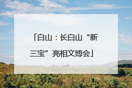 白山：长白山“新三宝”亮相文博会