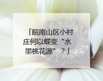 皖南山区小村庄何以蝶变“水墨桃花源”？
