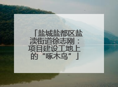 盐城盐都区盐渎街道徐志刚：项目建设工地上的“啄木鸟”