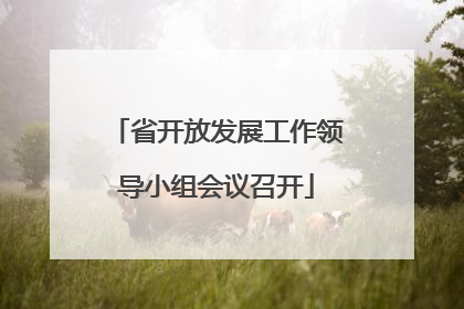 省开放发展工作领导小组会议召开