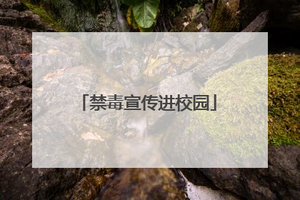 禁毒宣传进校园