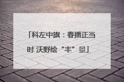 科左中旗：春播正当时 沃野绘“丰”景