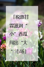 税惠甘霖滋润“小”香瓜闯出“大”市场