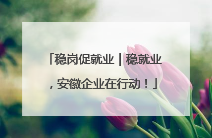 稳岗促就业｜稳就业，安徽企业在行动！