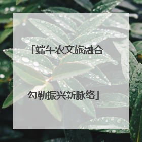 端午农文旅融合 勾勒振兴新脉络