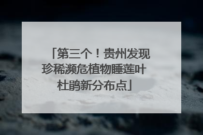 第三个！贵州发现珍稀濒危植物睡莲叶杜鹃新分布点
